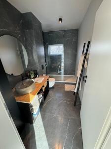 ein Badezimmer mit Waschbecken, Toilette und Dusche in der Unterkunft Selás 5 in Jarðlangsstaðir