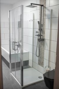 a shower with a glass door in a bathroom at Ruhiges City-Wohnapartment - 5 min zum Markplatz in Annaberg-Buchholz