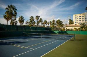 a tennis court with a net and palm trees at Beautifully Maintained 2-Bed Condo in Las Mañanitas in San José del Cabo