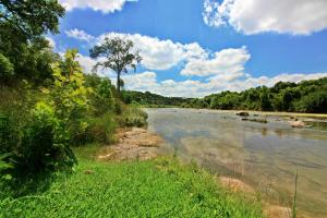 a river with a tree on the side of it at Frog Cottage on the Blanco in Wimberley