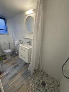 a bathroom with a sink and a toilet and a mirror at Chez requenna in Borce +35 photos