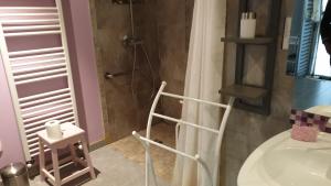 a bathroom with a shower and a sink at Gîte d'Anne et Ulysse in Sept-Frères +48 photos