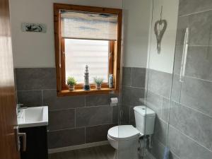 a bathroom with a toilet and a sink and a window at Apartment 2, Craigmore, Upper Baila, Lerwick in Lerwick +20 photos