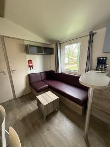 a living room with a couch and a table at Chez Maxime - E33 - Clim TV Lave-vaisselle - Proche Europa Park et Rulantica in Boofzheim