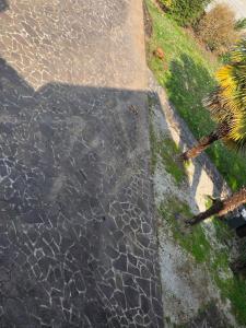 a wet street with water on the ground at Home Little Star in Gorizia