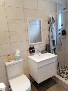 a bathroom with a toilet and a sink and a shower at Martin Villa in Somerset West