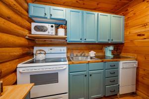 a kitchen with blue cabinets and a stove and a sink at Johnsons Creek Cabin by Railey Vacations in Oakland