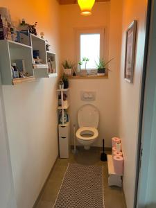 a small bathroom with a toilet and a window at Villa Thorens in Morlaix +19 photos