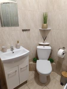 a bathroom with a white toilet and a sink at JULA Pokoje Blisko Plaży, Dąbki in Dąbki +33 photos