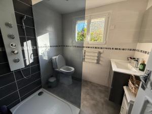 a bathroom with a toilet and a sink at Demeure Saint Gildas in La Haye-Pesnel