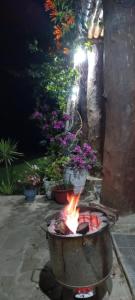a fire in a pot in a garden at night at Villa Rossy in Samaipata