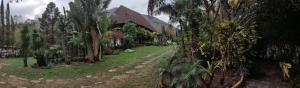 a house with a path in a yard with trees at Villa Rossy in Samaipata +16 photos