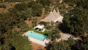 an overhead view of a house with a swimming pool at Trullo Elisa in Monopoli