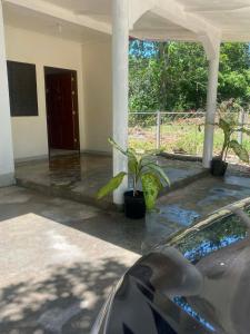 a front porch of a house with a plant at Casa Fleur in Cangalwang
