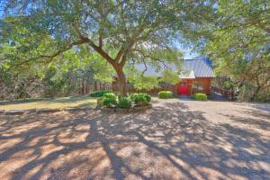 a tree in the middle of a yard with a house at Falls Log Home in Wimberley