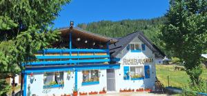 a building with blue trim and flowers in the windows at Pensiunea Floarea Dornei in Şarul Dornei