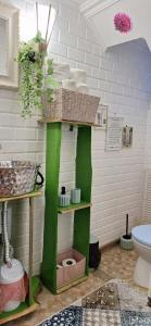a bathroom with a green shelf and a toilet at Pensiunea Floarea Dornei in Şarul Dornei +115 photos