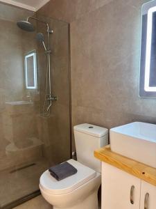 a bathroom with a shower and a toilet and a sink at Honey Hill Villa in Përmet