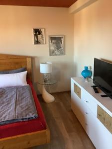 a bedroom with a bed and a flat screen tv at Ferienwohnung Himmel und Hölle in Freiberg