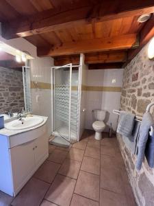 a bathroom with a shower and a sink and a toilet at Gîtes de la chocolaterie in Viré +23 photos