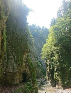 a mountain with a tunnel in the middle of a river at Apartment Mauthen 19 in Mauthen