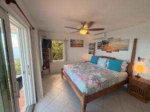 a bedroom with a bed and a ceiling fan at A Newly Renovated Luxury 4 Bed Villa in Tortola Island +69 photos