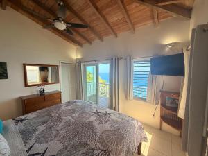 a bedroom with a bed and a large window at A Newly Renovated Luxury 4 Bed Villa in Tortola Island
