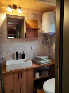 a bathroom with a sink and a mirror and a toilet at Dauny House - Dein Tiny House Erlebnis in der Vulkaneifel in Daun +20 photos