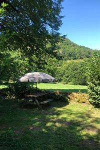 a picnic table with an umbrella in the grass at Gite de collandres in Cheylade