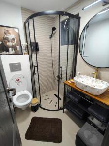 a bathroom with a shower with a toilet and a sink at Cozy Box in Agapia +12 photos