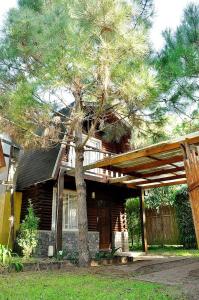 a house with a tree in front of it at Cabañas Balboa in Costa del Este +1 photo