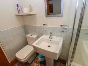 a bathroom with a toilet and a sink and a shower at Green Route Apartment in Todmorden +11 photos