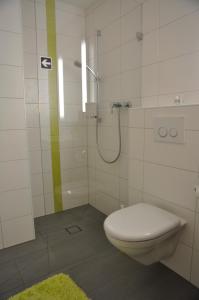 a bathroom with a toilet and a shower at Chesa Viletta in La Punt-Chamues-ch +117 photos