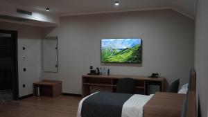 Sjónvarps- og/eða afþreyingartæki á Silver Hotel