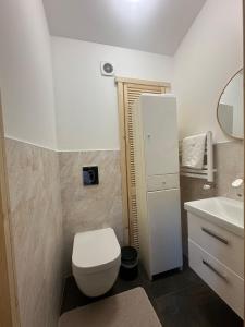 a small bathroom with a toilet and a sink at U Borowiczów in Białka Tatrzańska