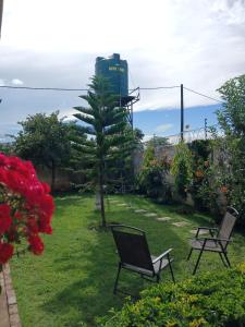 a garden with two chairs and a pine tree at Silverest Place in Lusaka
