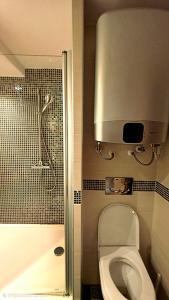 a bathroom with a toilet and a shower at Mihailo Konaci hotel Andjela in Kopaonik