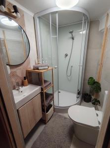 a bathroom with a shower and a toilet and a sink at Owcza Jurta in Dursztyn