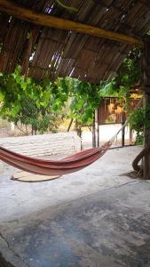 a hammock in a pavilion with a tree at Casa Grulla in Santa Marta