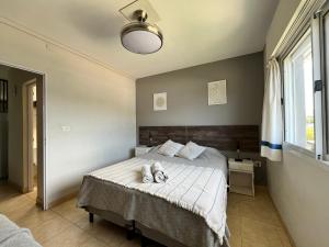 a bedroom with a bed with a dog laying on it at Departamentos Equipados Realico in Realicó +5 photos