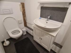 a bathroom with a white toilet and a sink at Luessishausen im Lüsserttal mit 140m2 und DSL in Feilbingert +44 photos