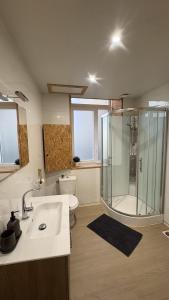a bathroom with a shower and a sink and a toilet at Le petit chalet de Cholet in Cholet