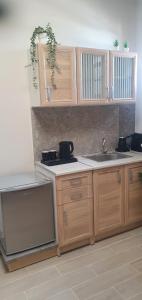 a kitchen with wooden cabinets and a sink at a&bpikermistudios4 in Pikérmion