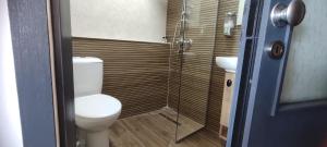 a bathroom with a toilet and a sink and a shower at Pearl's apartments Old town Ohrid in Ohrid +81 photos
