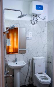 a bathroom with a toilet and a sink and a mirror at MGM Daisy Resorts in Nuwara Eliya