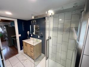 a bathroom with a shower and a sink and a toilet at Wally’s Matchbox |New|Hot Tub|Fire Pit|Close 2 All in Hawley +54 photos