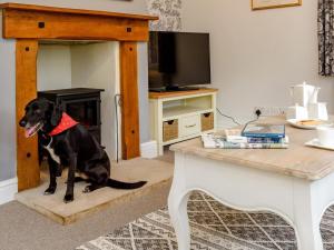 a black dog sitting on a table in a living room at 1 Bed in Brockenhurst oc-78767 in Beaulieu
