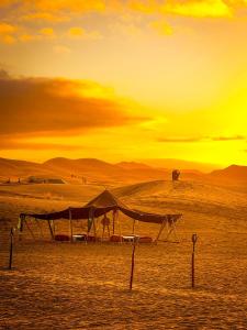 a tent in the desert with a sunset in the background at dreaming desert Luxury Camp in Adrouine +17 photos