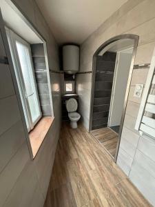 a bathroom with a toilet and a mirror at Appart' Val 2 in Beaumont +5 photos