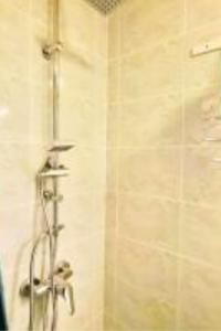 a shower in a bathroom with a shower at Savana Lodge, Wi-Fi, Parking Privé et Calme, Sortie 12 ChanaS in Chanas